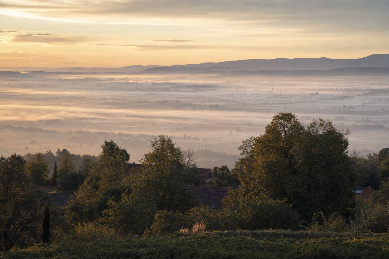 Bewaldeter Hang über einem Talkessel, im Tal liegt noch Morgennebel